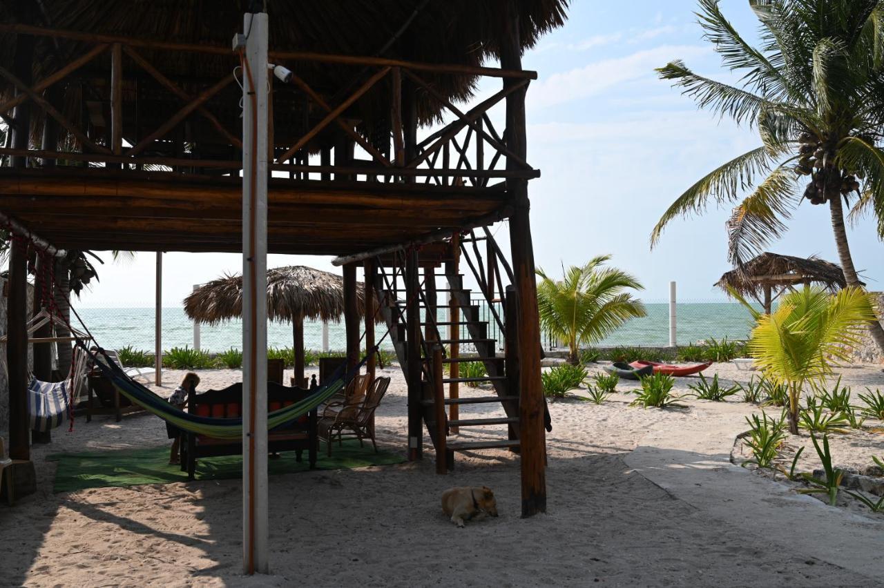 La Casa Del Mexicano Celestun Dış mekan fotoğraf